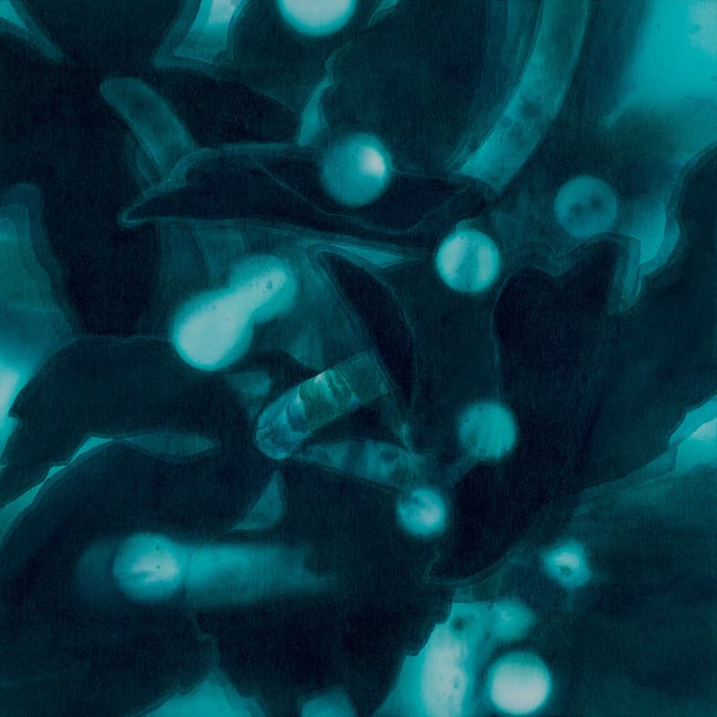 新恵美佐子 Misako Shine 