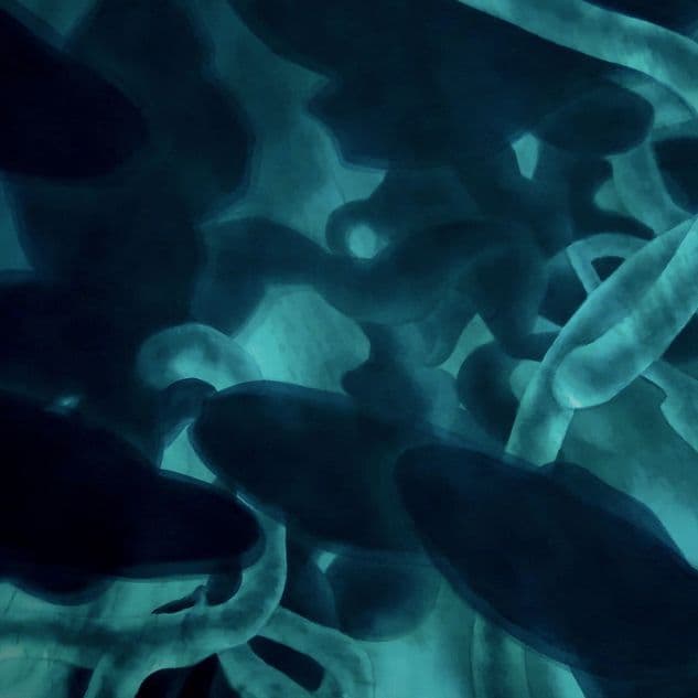 新恵美佐子 Misako Shine 