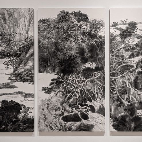 新恵美佐子 Misako Shine 