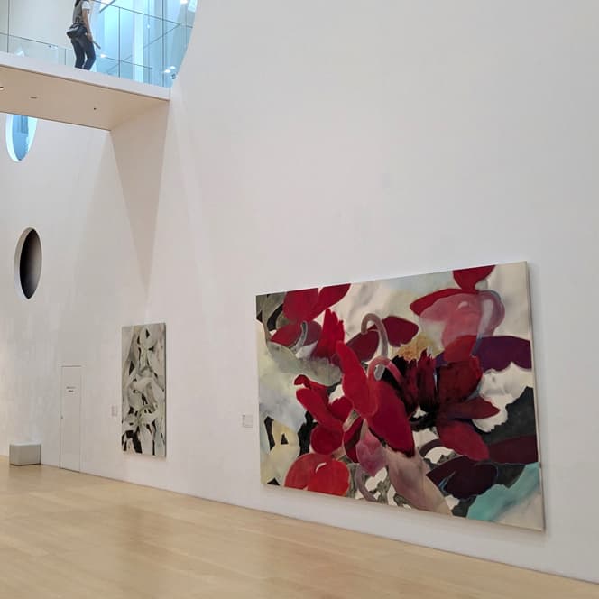 新恵美佐子 Misako Shine 