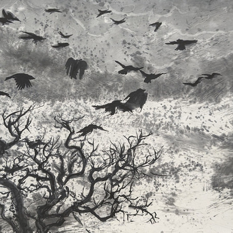 新恵美佐子 Misako Shine 