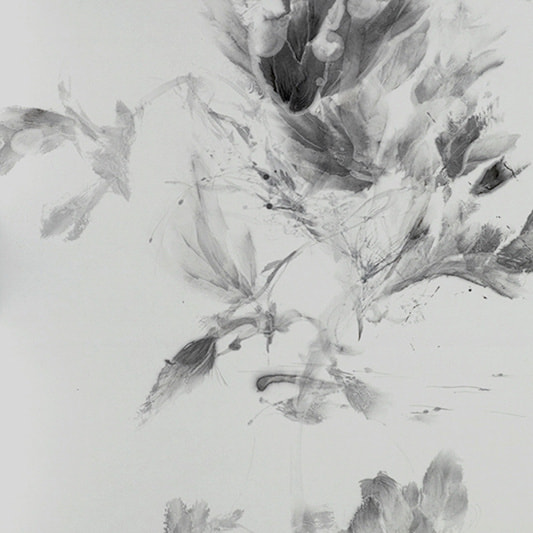 新恵美佐子 Misako Shine 