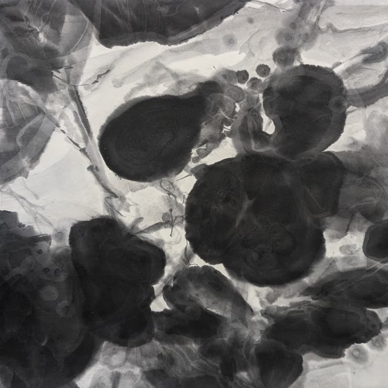 新恵美佐子 Misako Shine 