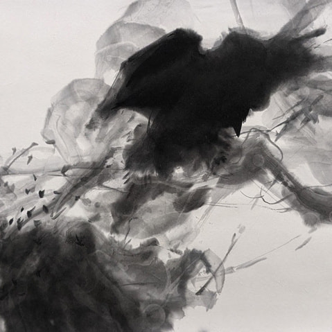 新恵美佐子 Misako Shine 