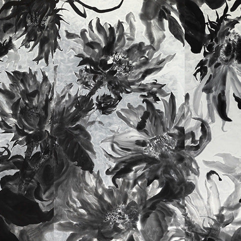 新恵美佐子 Misako Shine 