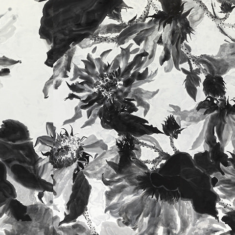 新恵美佐子 Misako Shine 