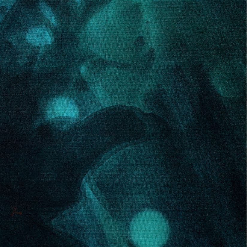 新恵美佐子 Misako Shine 