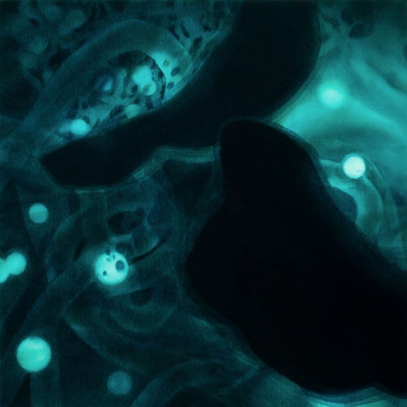 新恵美佐子 Misako Shine 