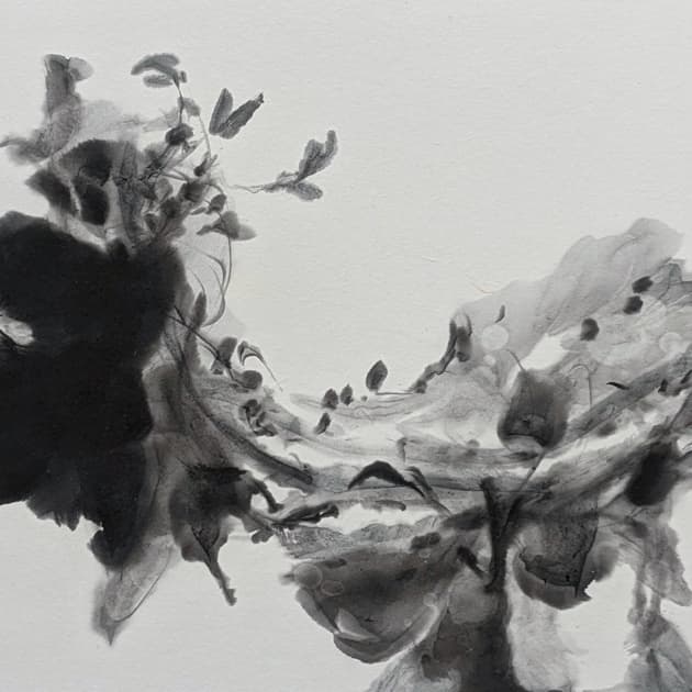 新恵美佐子 Misako Shine 