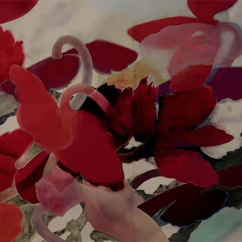 新恵美佐子 Misako Shine 