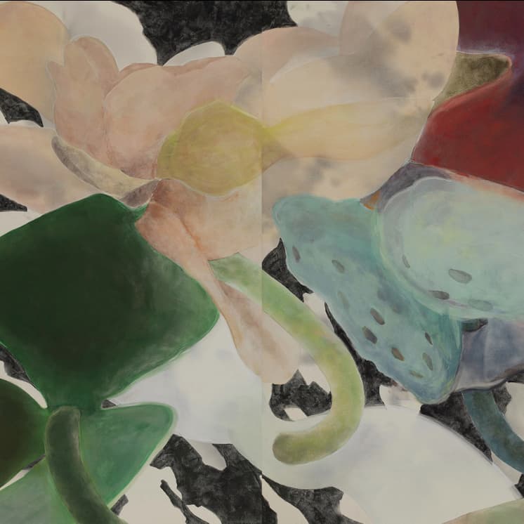 新恵美佐子 Misako Shine 