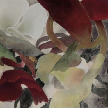 新恵美佐子 Misako Shine 