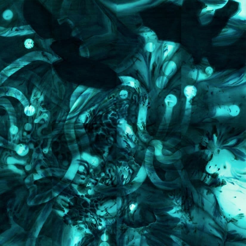 新恵美佐子 Misako Shine 