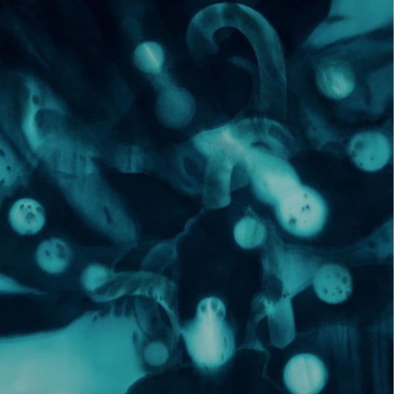 新恵美佐子 Misako Shine 