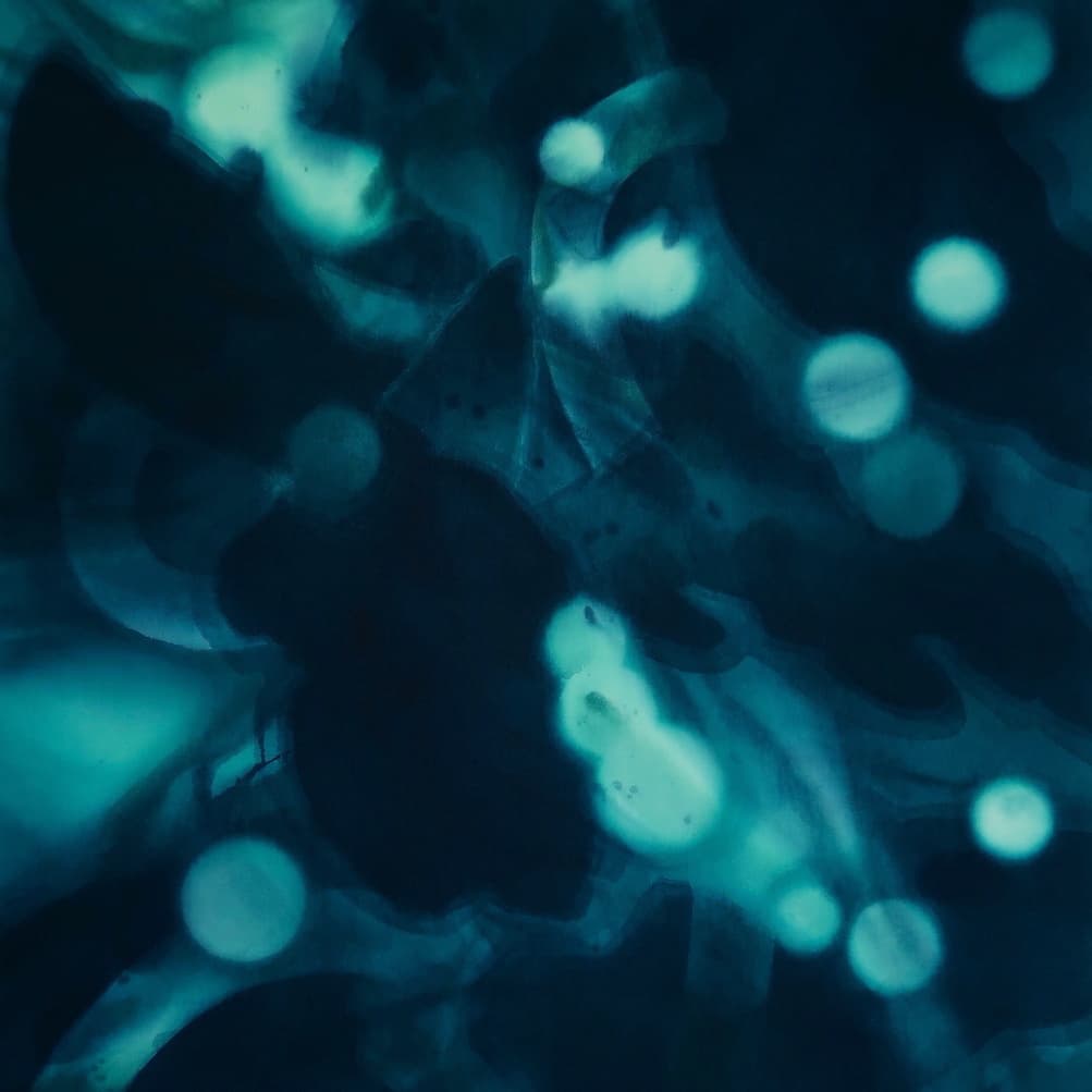 新恵美佐子 Misako Shine 