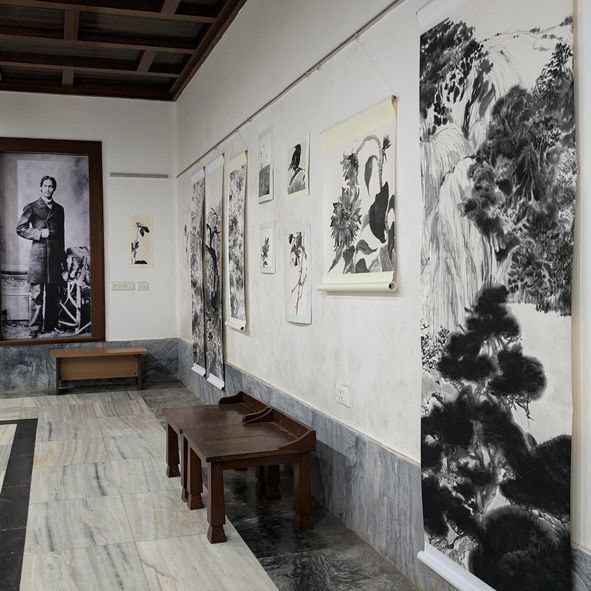 新恵美佐子 Misako Shine 