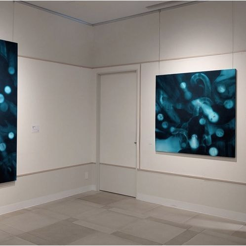 新恵美佐子 Misako Shine 